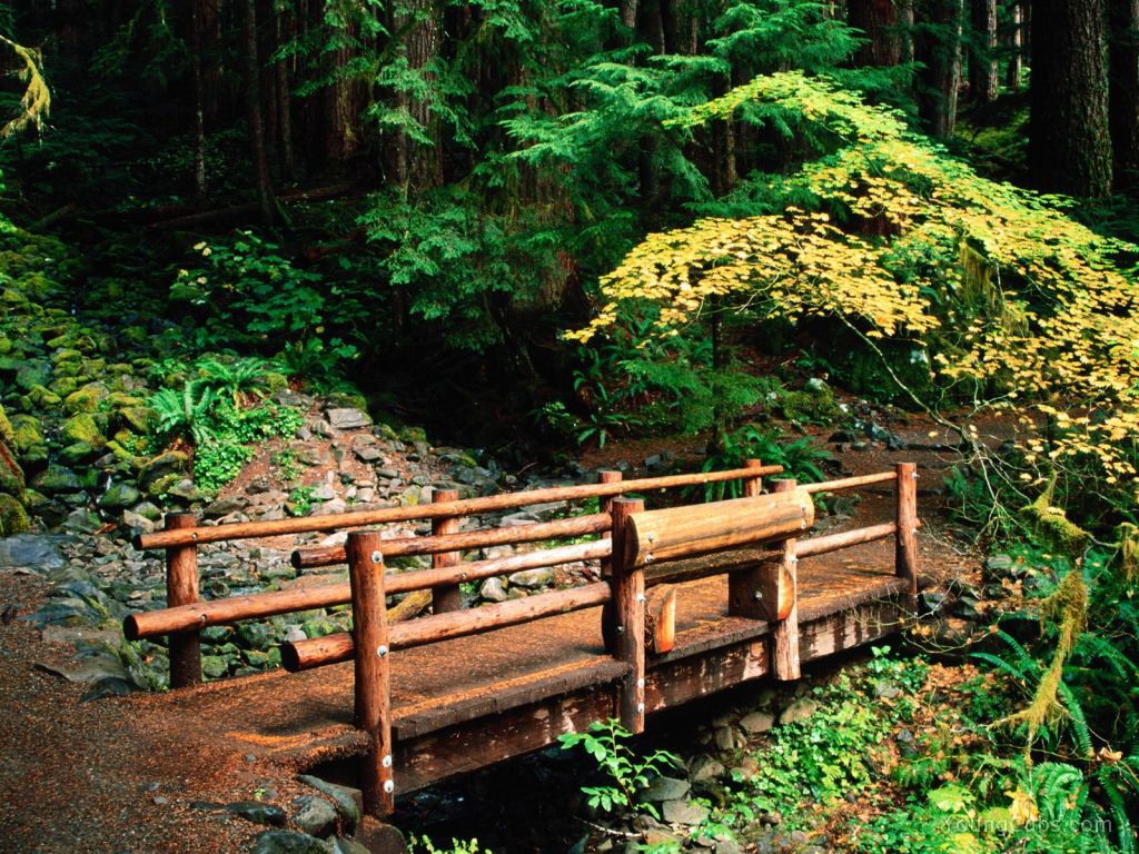 Sol Duc Falls Trail, Olympic National Park, Washington